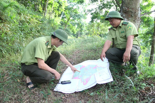 Quảng Ninh có tỷ lệ che phủ rừng dẫn đầu cả nước