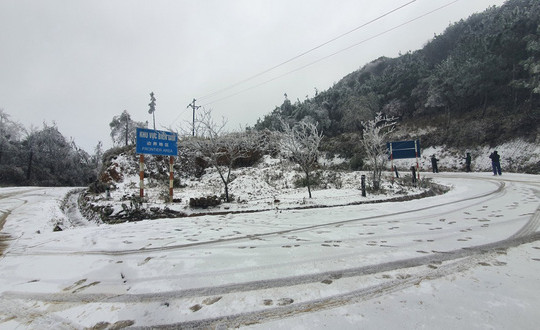 Lào Cai: Tuyết rơi phủ trắng xóa Y Tý