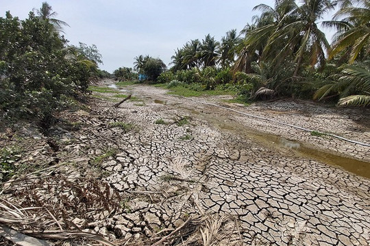 Xâm nhập mặn ĐBSCL mùa khô năm 2021 không nghiêm trọng như năm 2020