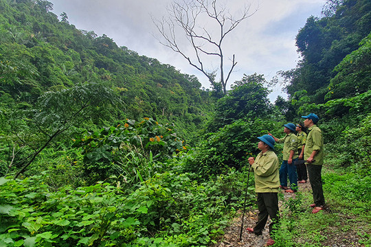 Tăng cường công tác bảo vệ rừng dịp Tết Nguyên đán 2021