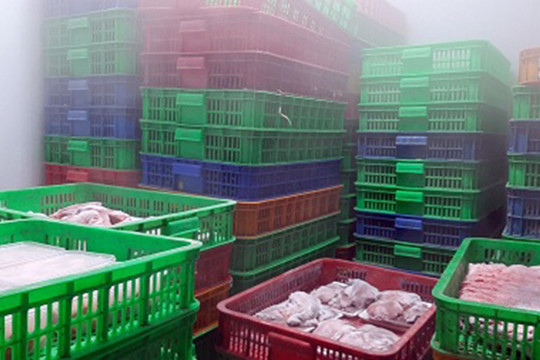 TP.Hồ Chí Minh: Phát hiện gần 6 tấn thực phẩm không rõ nguồn gốc