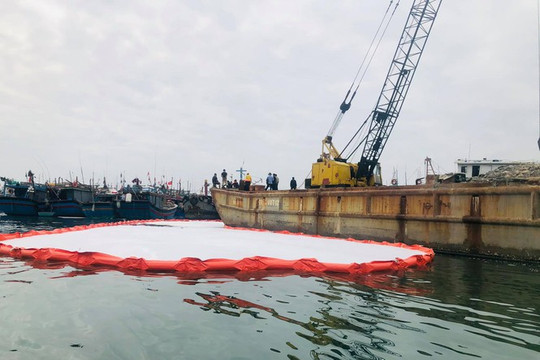 Đà Nẵng: Nỗ lực khắc phục ô nhiễm môi trường tại Âu thuyền và Cảng cá Thọ Quang