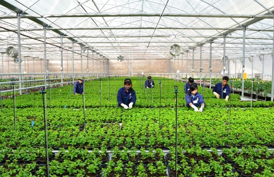 Chính phủ quyết định thành lập Khu nông nghiệp ứng dụng công nghệ cao Thái Nguyên