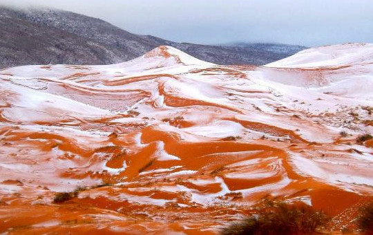 Băng tuyết phủ trắng sa mạc Sahara