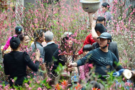 Hà Nội sẽ tổ chức 89 điểm chợ hoa xuân phục vụ Tết Nguyên đán Tân Sửu