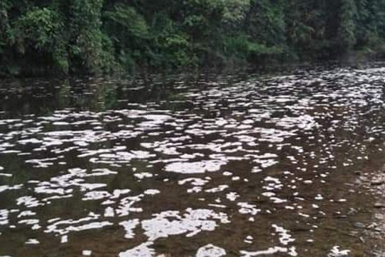 Bắc Kạn: Bắt quả tang nhà máy giấy xả thải ra sông Phó Đáy