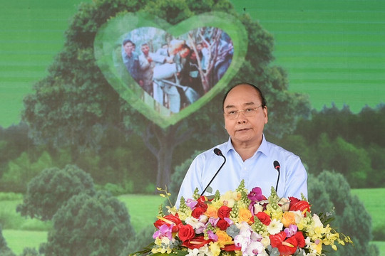 Thủ tướng phát động Tết trồng cây, trồng mới 1 tỷ cây xanh