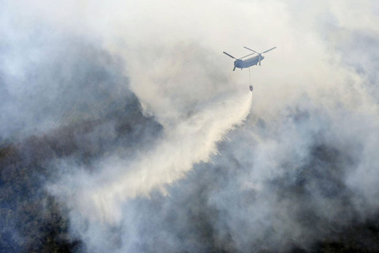 Nhật Bản: Cháy rừng nghiêm trọng lan rộng gần thủ đô Tokyo