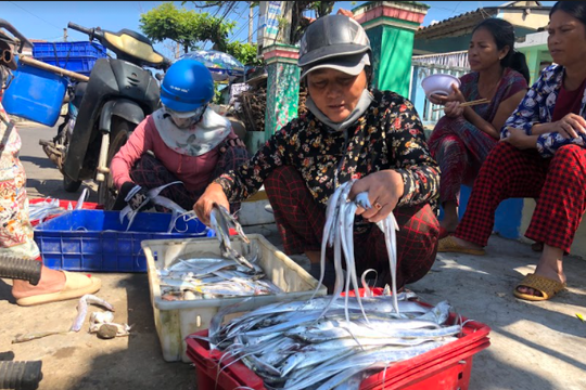 Ngư dân Quảng Nam trúng đậm cá hố đầu năm