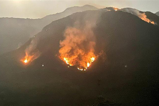 Cháy rừng tại huyện Tam Đường – Lai Châu: Lửa bùng cháy trở lại và lan rộng