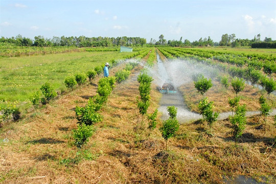 ĐBSCL: Chủ động nguồn nước sản xuất lúa và cây ăn trái trong mùa khô