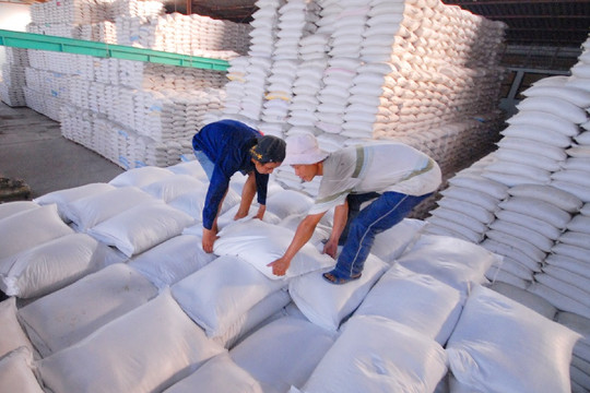 Gạo Việt Nam tận dụng tốt cơ hội, nâng cao giá trị