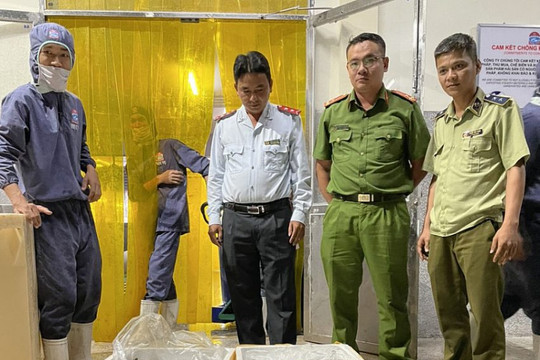 Kiên Giang: Phát hiện cơ sở kinh doanh tôm chứa tạp chất