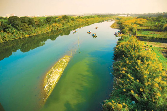 Ngày Quốc tế các dòng sông: Hành động “xanh” cho mạch nguồn chảy mãi