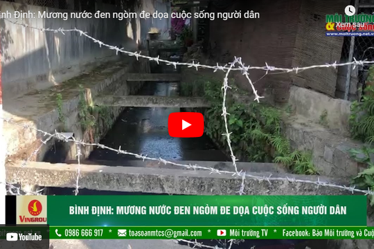 [VIDEO] Bình Định: Mương nước đen ngòm đe dọa cuộc sống người dân