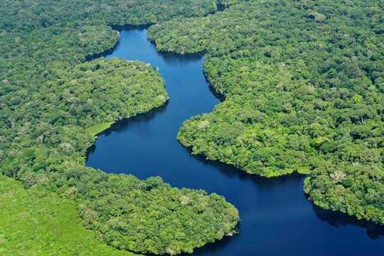 Vai trò của người bản địa trong bảo vệ rừng ở Mỹ Latinh, Caribe