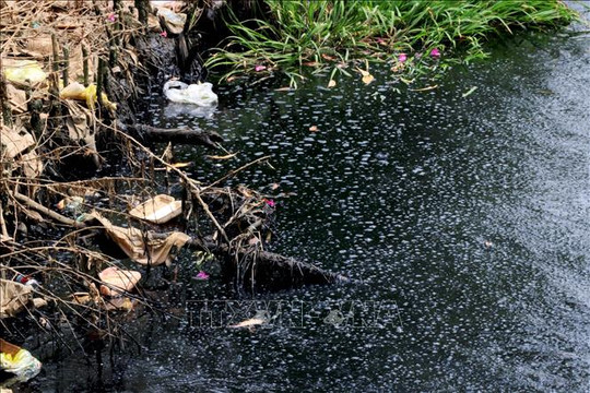 Long An nỗ lực xử lý ô nhiễm trên sông, kênh rạch