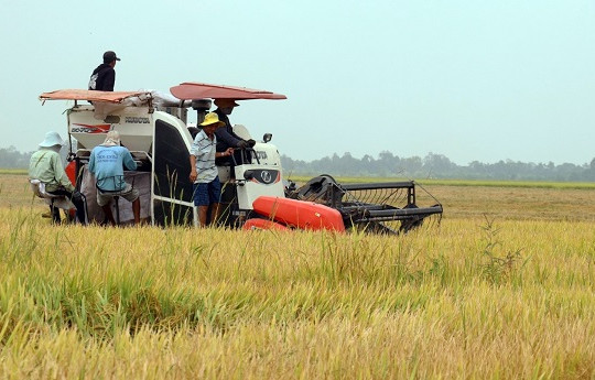 Kiên Giang: Nông dân xuống giống sớm vụ lúa Hè Thu trong tình hình khô hạn