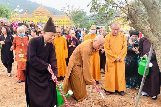 Ngàn cây xanh được trồng tại khuôn viên Học viện Phật giáo Việt Nam