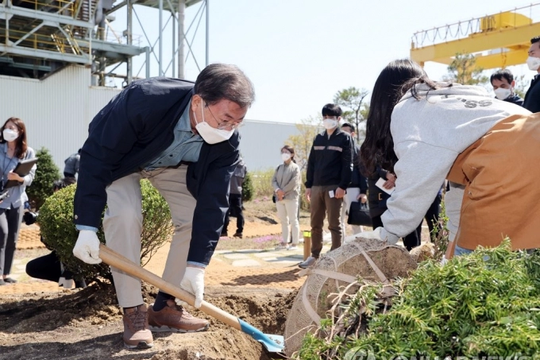 Tổng thống Hàn Quốc khởi động chiến dịch trồng 3 tỷ cây xanh
