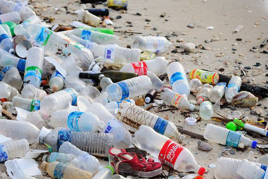 Rác thải nhựa ở Việt Nam – Bài 2: Ảnh hưởng đến sức khỏe con người và phát triển kinh tế, xã hội