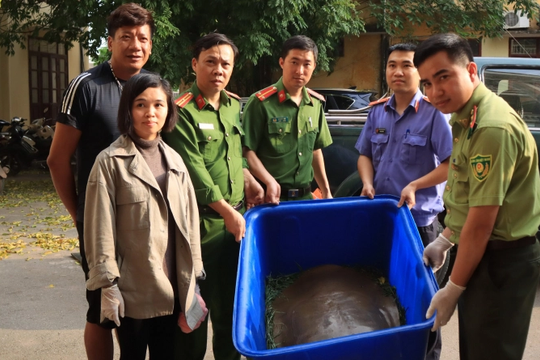 Vườn quốc gia Cúc Phương cứu hộ con giải nặng 22kg