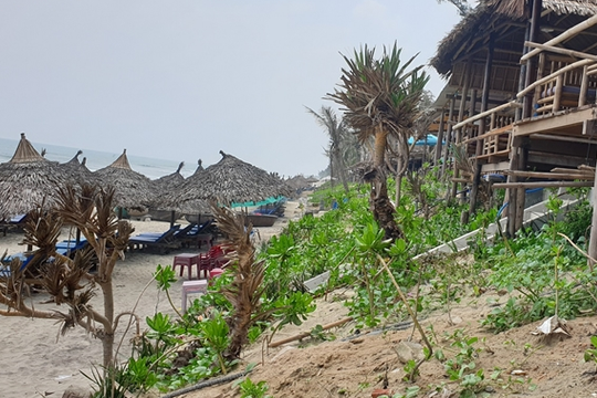 Quảng Nam: Tìm giải pháp đồng bộ chống sạt lở bờ biển