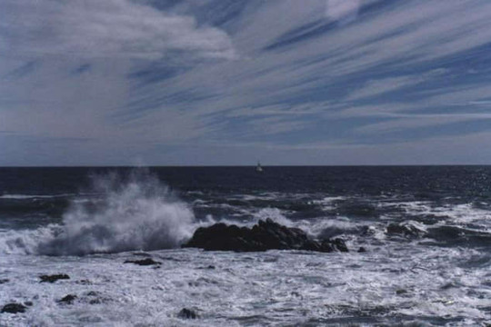 Bắc Biển Đông gió giật mạnh, sóng cao đến 4m do ảnh hưởng siêu bão Surigae