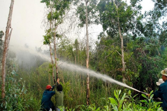 Cà Mau: Gần 8.000 ha rừng tràm ở mức báo cháy cấp cực kỳ nguy hiểm