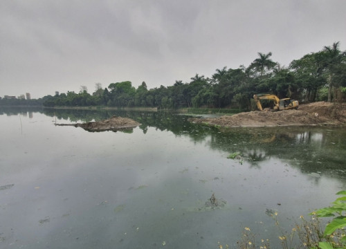 Nghệ An: Người dân ngộp thở vì cá chết bốc mùi nồng nặc ở hồ trung tâm TP Vinh