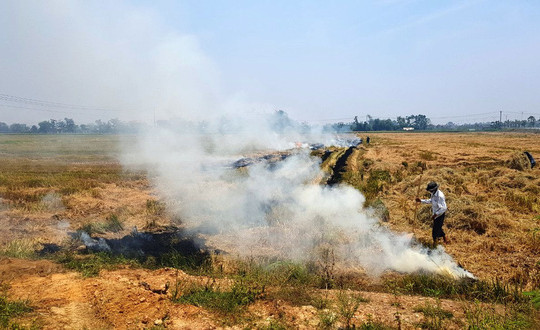 TP Huế: Tăng cường các biện pháp hạn chế đốt rơm rạ sau thu hoạch