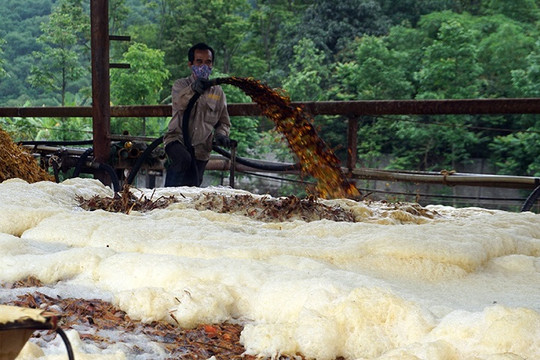 Thanh Hóa: Lấy mẫu nước giếng kiểm tra sau vụ cá chết hàng loạt trên sông Mã