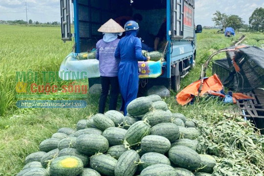 Người dân Hà Nội hỗ trợ tiêu thụ nông sản vùng dịch