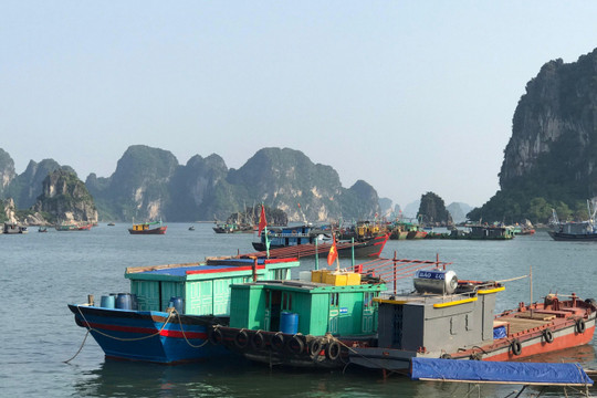 Quảng Ninh: Bảo vệ, phát triển bền vững nguồn lợi thủy sản