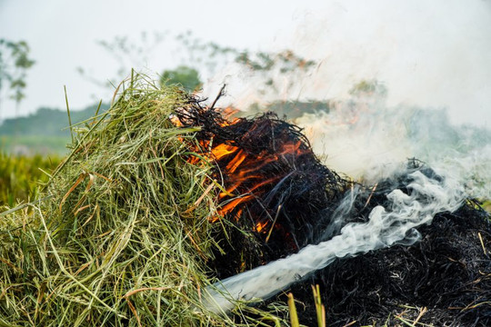 Nông dân đốt rơm rạ, khói mù mịt bủa vây ngoại thành Hà Nội