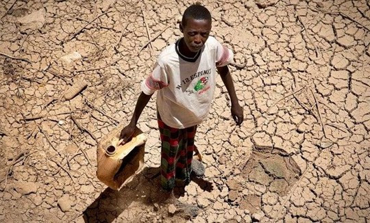 Hạn hán khiến gần 3 triệu người tại Somalia đối mặt với khủng hoảng lương thực