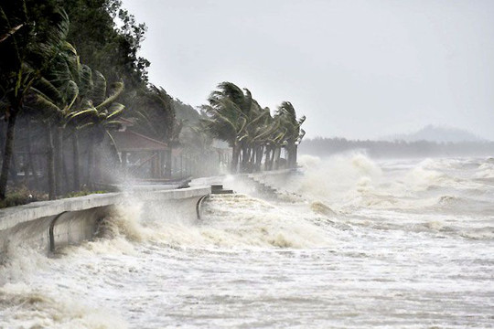 Năm 2021 sẽ có khoảng 12 – 14 cơn bão, áp thấp nhiệt đới