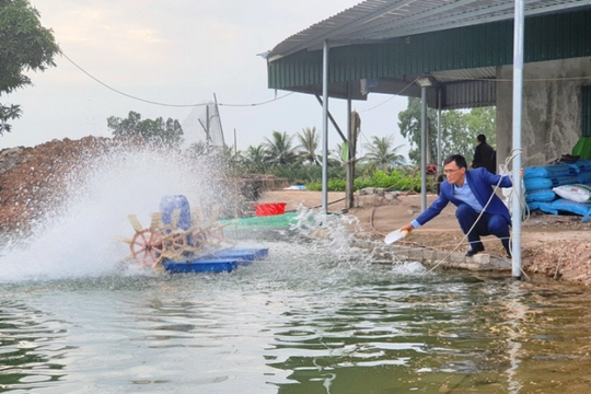 Nông dân Lào Cai chủ động phòng chống nắng nóng cho thủy sản