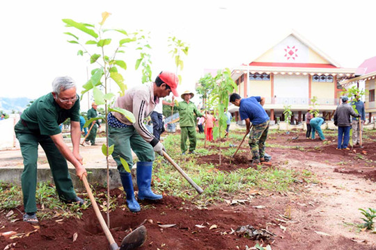 Bắc Ninh: Phấn đấu trồng mới 1,5 triệu cây xanh phân tán
