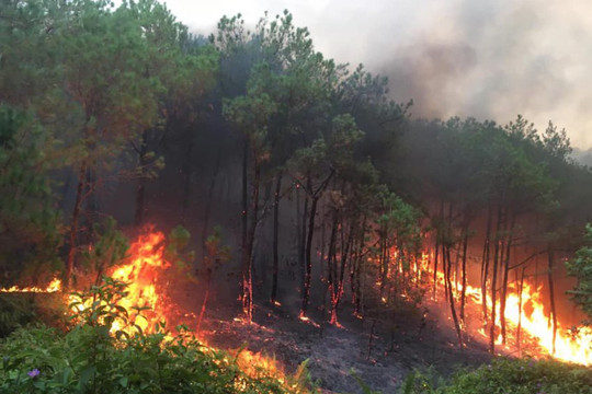 Quảng Bình: Tăng cường phòng cháy chữa cháy rừng trong mùa nắng nóng