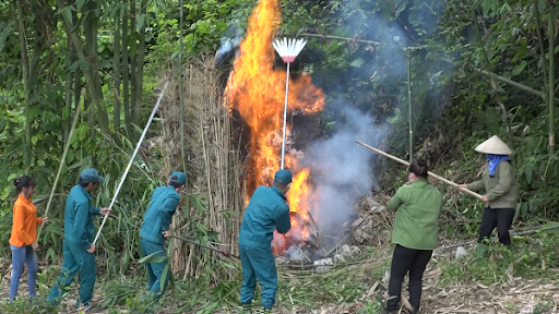 Tuyên Quang: Phòng chống cháy rừng mùa nắng nóng
