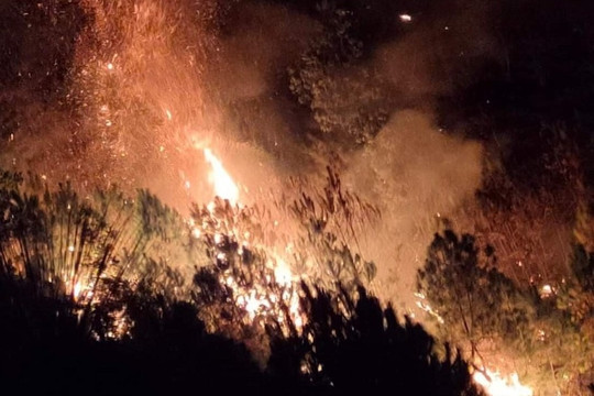 Hà Tĩnh: Hàng trăm người trắng đêm dập lửa cứu rừng