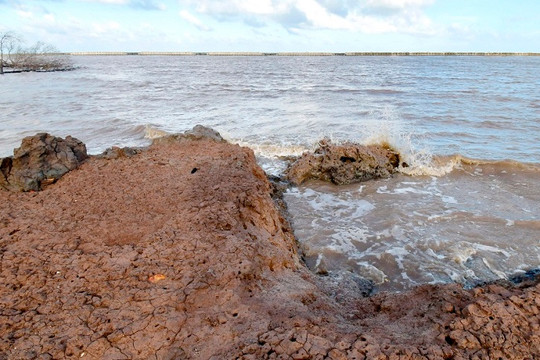 Cà Mau: Tìm giải pháp ứng phó tình trạng sạt lở bờ biển