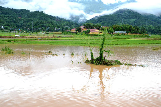 Mưa lớn ở Lào Cai gây thiệt hại hơn 2,4 tỷ đồng