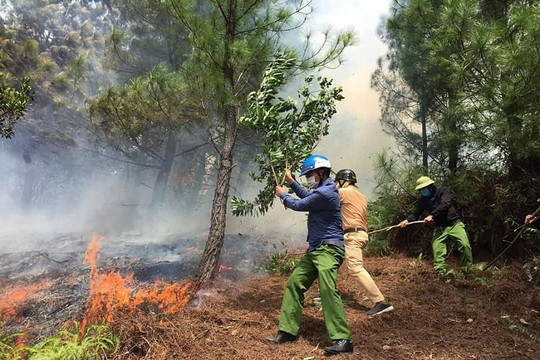 Hà Tĩnh: Đốt thực bì gây cháy rừng, một người đàn ông tử vong