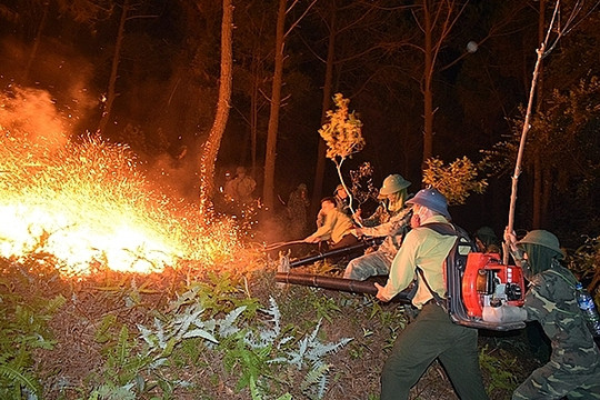 Lâm Đồng đề xuất 5,5 tỷ đồng cho công tác bảo vệ, phòng cháy chữa cháy rừng