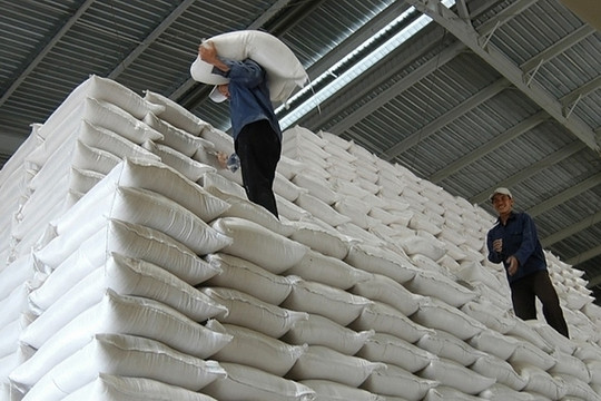 Đề xuất hỗ trợ hơn 130.000 tấn gạo cứu đói ở 24 địa phương có dịch