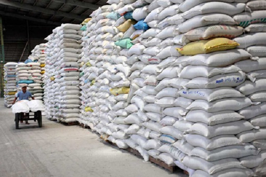 Hà Nội gửi tặng TP. HCM 5.000 tấn gạo, Bình Dương 1.000 tấn gạo