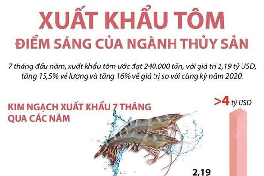 [Infographics] Xuất khẩu tôm, điểm sáng của ngành thủy sản