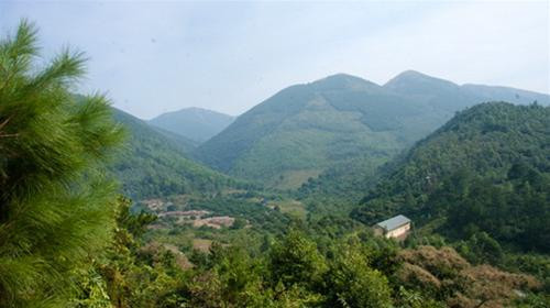Bắc Giang: Tăng cường quản lý, bảo vệ và phát triển rừng tại huyện Lục Nam